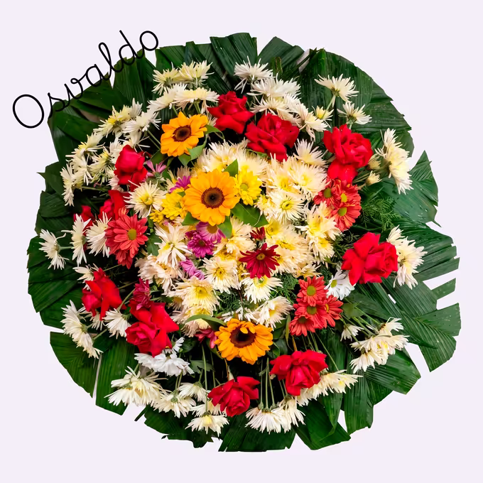 Coroa circular de crisântemos brancos e creme com rosas e gérberas vermelhas, girassóis laranja e crisântemos amarelos sobre folhas de palmeira.