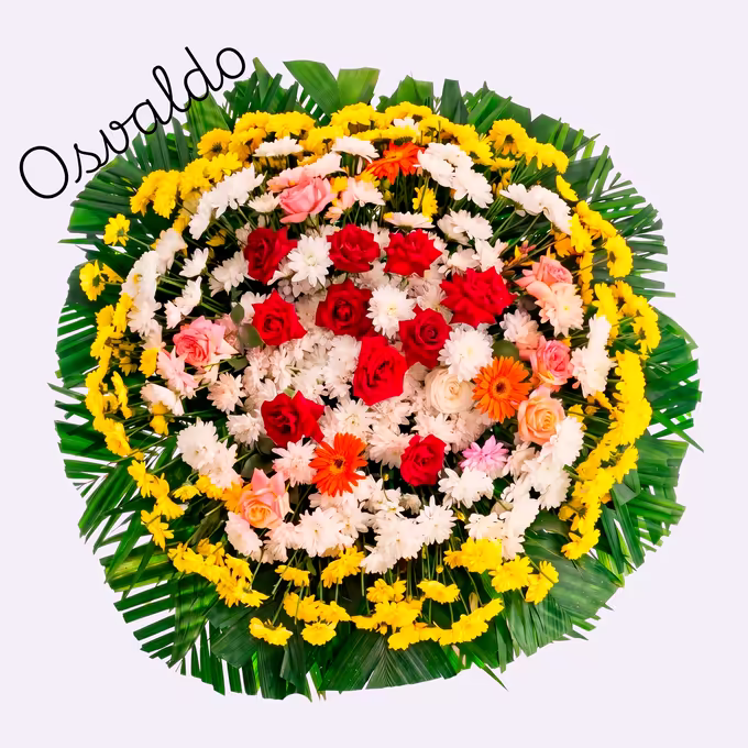 Coroa circular de rosas vermelhas, crisântemos brancos e amarelos, rosas cor de rosa e gérberas laranja sobre folhas verdes de palmeira.