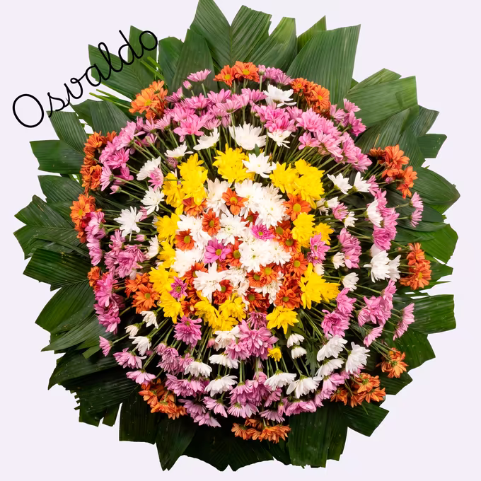 Coroa circular de crisântemos cor de rosa, brancos, laranja e amarelos, com miolo claro e leque de folhas de palmeira verde escuro na borda.