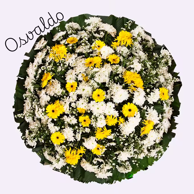 Coroa circular de crisântemos brancos e gérberas amarelas, com mosquitinho branco e folhas verdes de palmeira na borda.