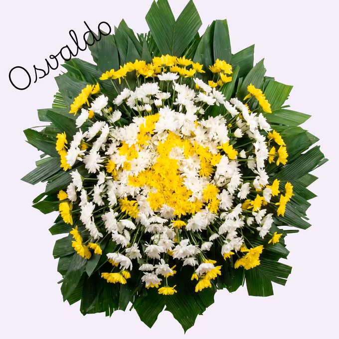 Coroa circular de crisântemos amarelos e brancos, com miolo amarelo fechado e leque de folhas verdes de palmeira abrindo na borda.