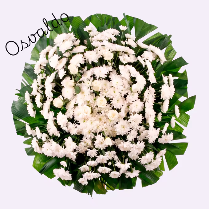Coroa circular de crisântemos e rosas brancas sobre leque de folhas verdes de palmeira, com folhagem escura entre as flores.