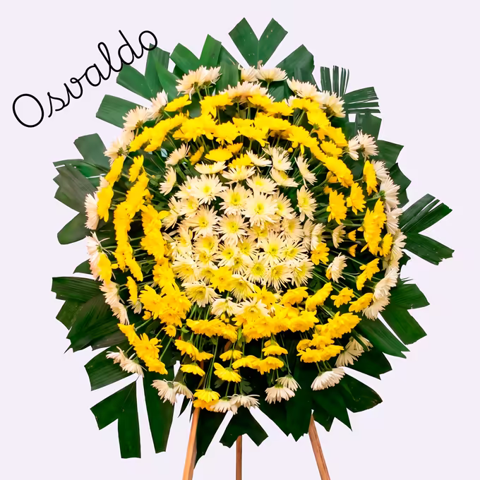 Coroa circular de crisântemos amarelos e creme em anéis concêntricos, com miolo creme e folhas de palmeira verde escuro ao redor.