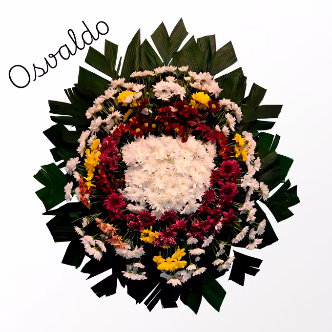 Coroa oval de crisântemos brancos no centro, vermelho escuro em volta e borda de margaridas brancas com pontos amarelos e salmão, sobre folhas de palmeira.