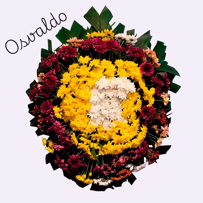 Coroa oval com miolo de crisântemos brancos, anel de crisântemos amarelos e borda vinho com pontos salmão sobre folhas de palmeira.